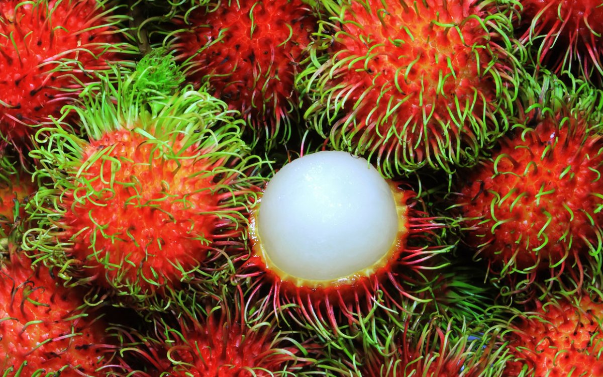 15. Trái chôm chôm ngon ngọt với vỏ màu đỏ, có tua mềm bao quanh, rất phổ biến ở Việt Nam.